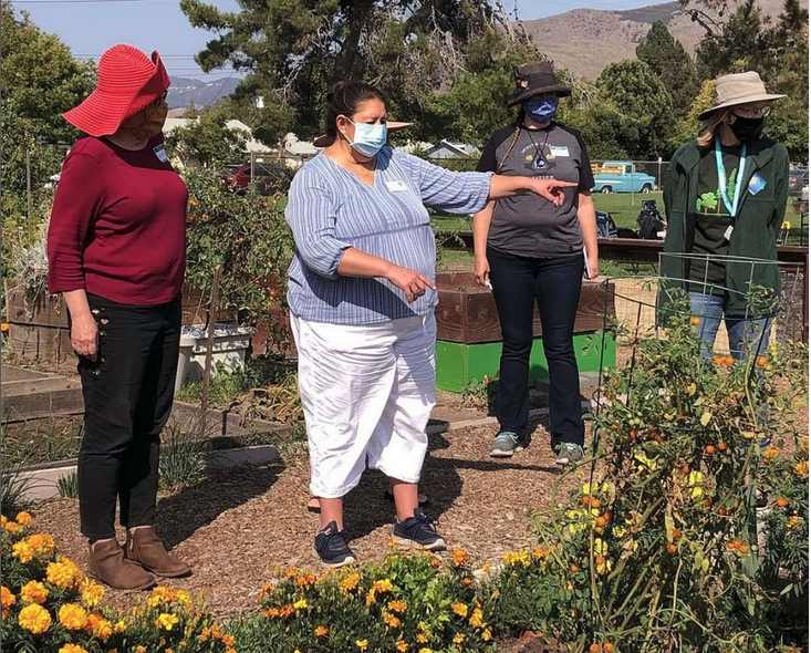 Pour soulager le stress, accéder à la nourriture, les gens se sont tournés vers le jardinage pendant la pandémie